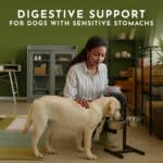 Digestive Support for Dogs with Sensitive Stomachs - BellyBalm Starter Pack