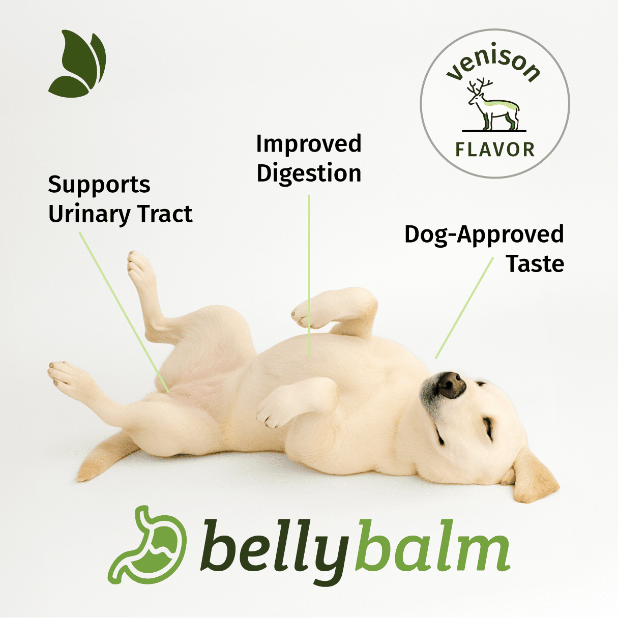 Supports Urinary Tract, Improved Digestion, Dog-Approved Taste - BellyBalm Features