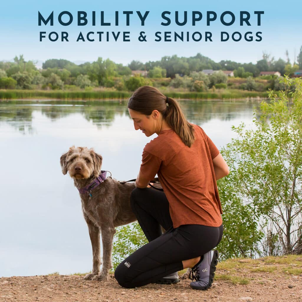 Mobility Support for Active and Aging Dogs - BodyBend Starter Pack