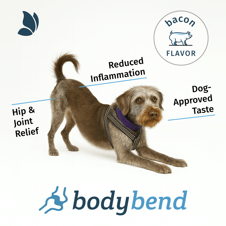 Hip & Joint Relief, Reduced Inflammation, Dog-Approved Taste - BodyBend Features