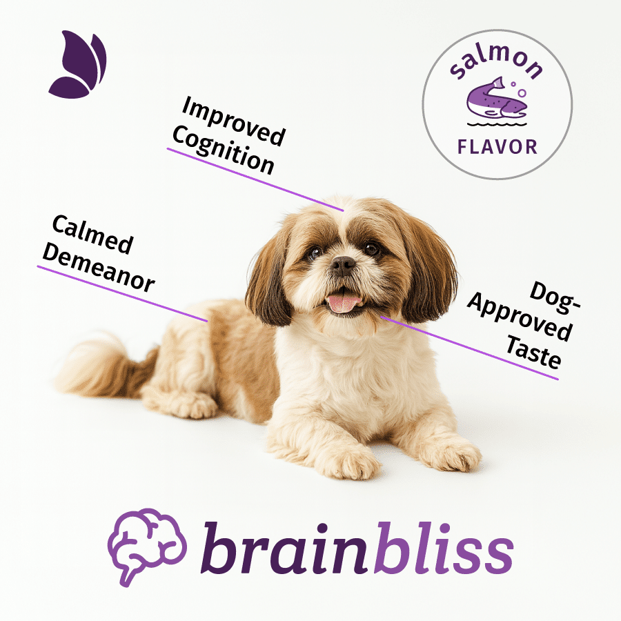 Calmed Demeanor, Improved Cognition, Dog-Approved Taste - BrainBliss Features