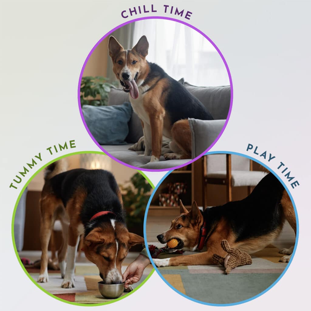 Flur Supports Chill Time, Play Time, and Tummy Time - Mix Starter Pack