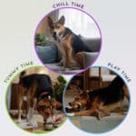 Flur Supports Chill Time, Play Time, and Tummy Time - Mix Starter Pack