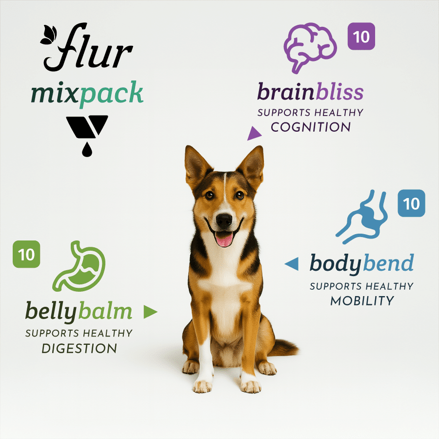 Mix Starter Pack - 10 BrainBliss, 10 BodyBend, 10 BellyBalm